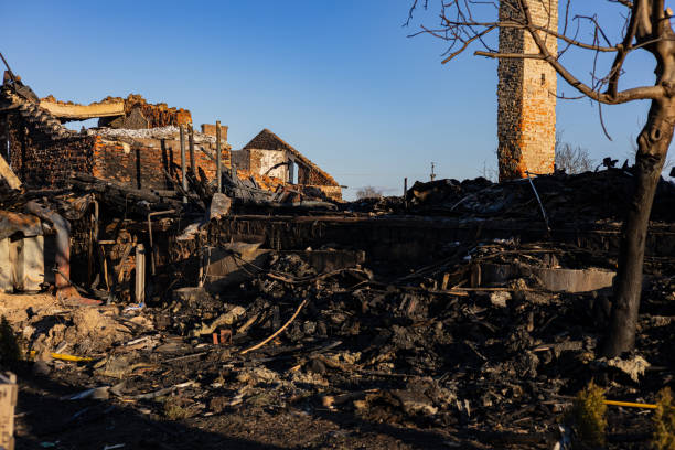 Reliable Fire Damage Removal contractor in Tampa, FL by Fire Damage Flint